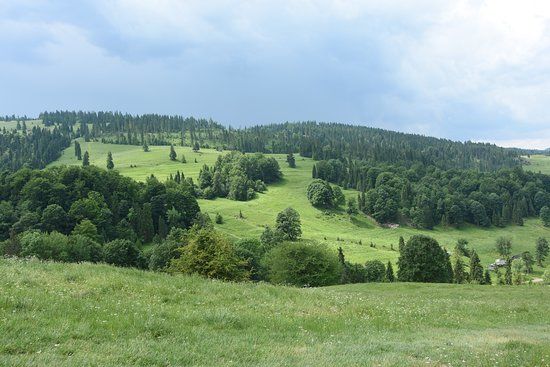 Rezerwat przyrody Biała Woda